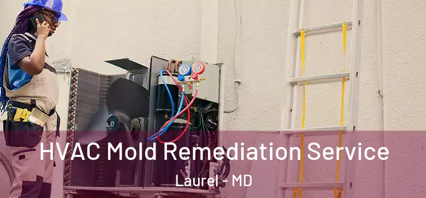  HVAC Mold Remediation Service Laurel - MD