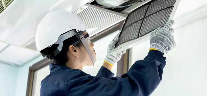 Our Mold & Mildew Removal from Air Ducts Services in Laurel, MD