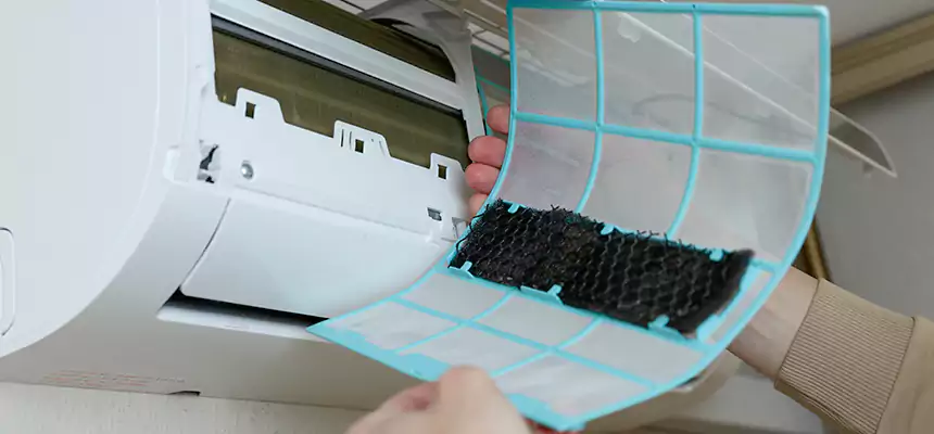 Gentle Ductwork Odor-Control Pet Dander Duct Cleaning in Laurel, MD