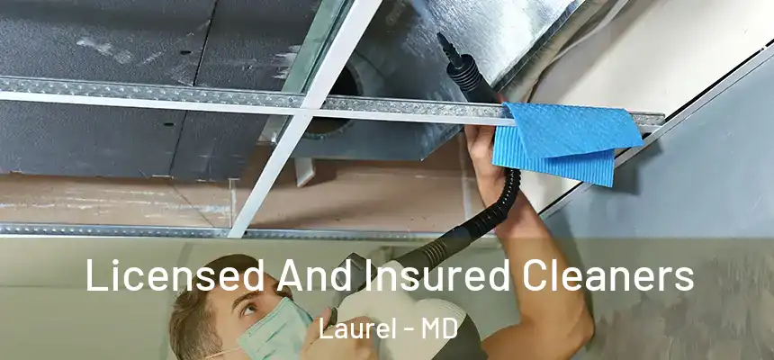 Licensed And Insured Cleaners Laurel - MD