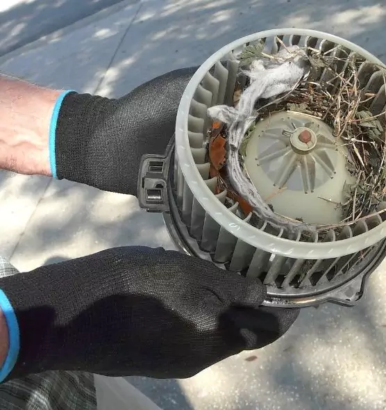 About Air Duct Rat Removal in Laurel, MD