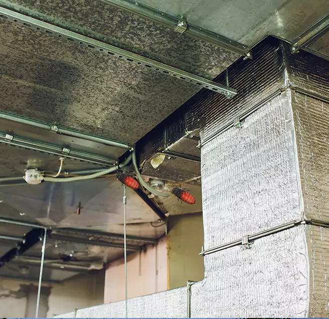 Why Homeowners & Businesses Trust Us in Laurel, MD?