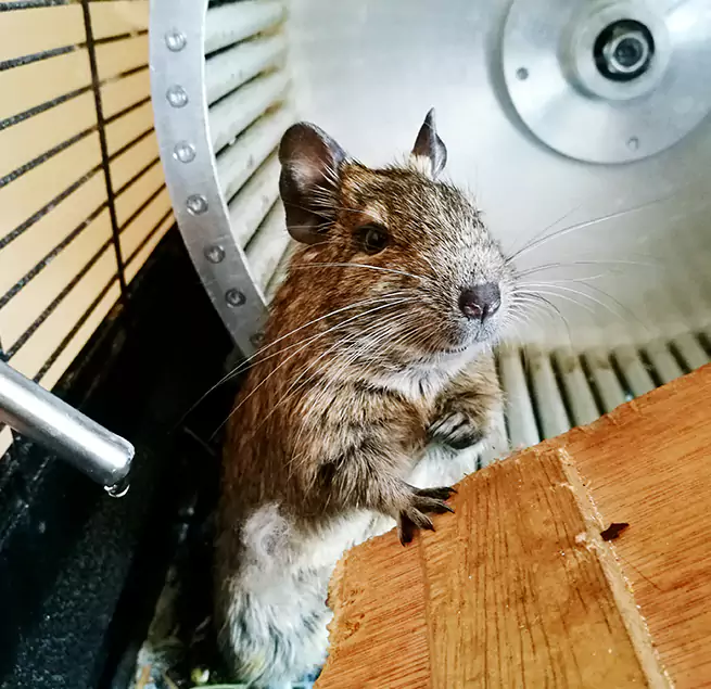 Why Homeowners & Businesses Trust Us Laurel, MD?